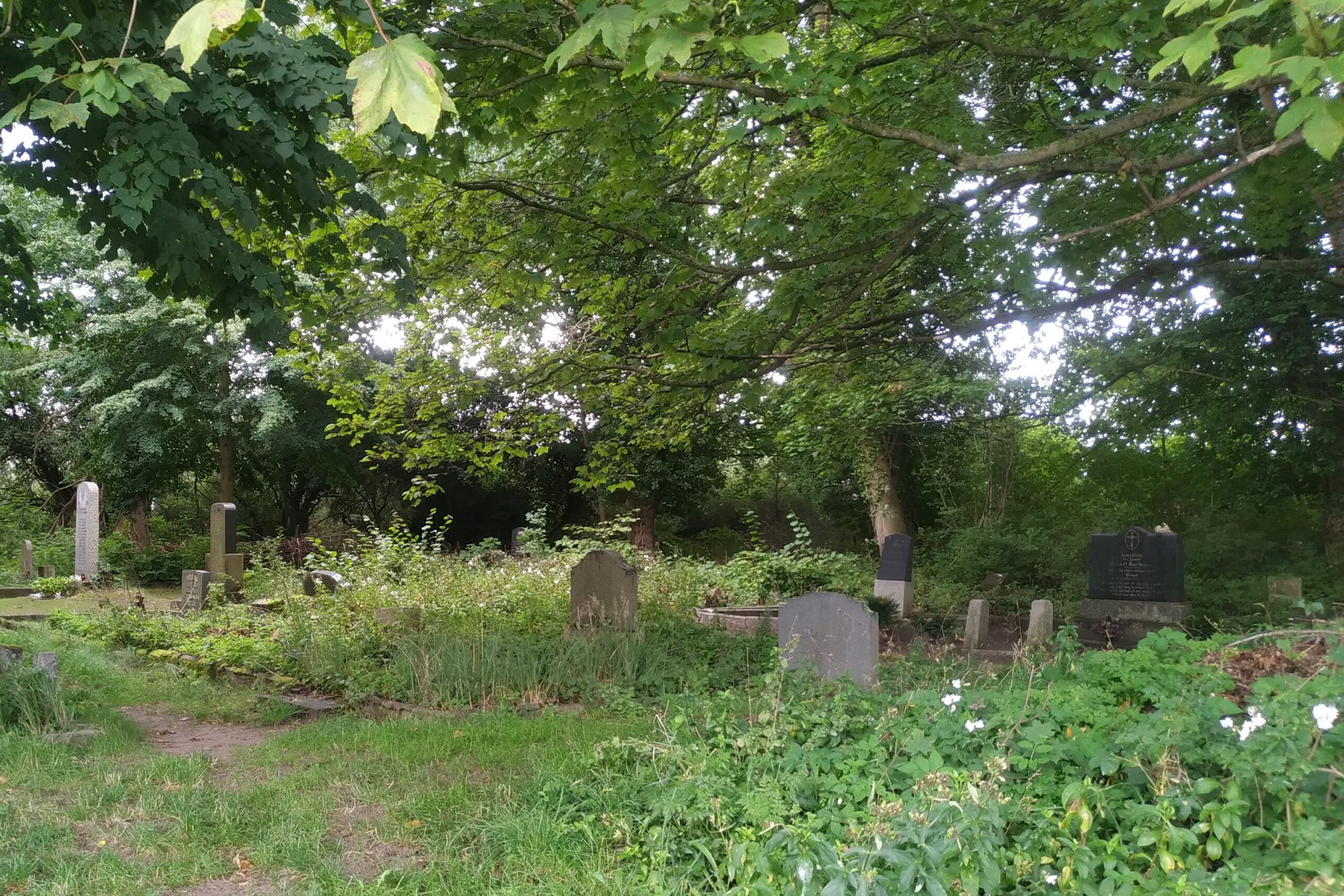 Der vergessene Friedhof Kamminke